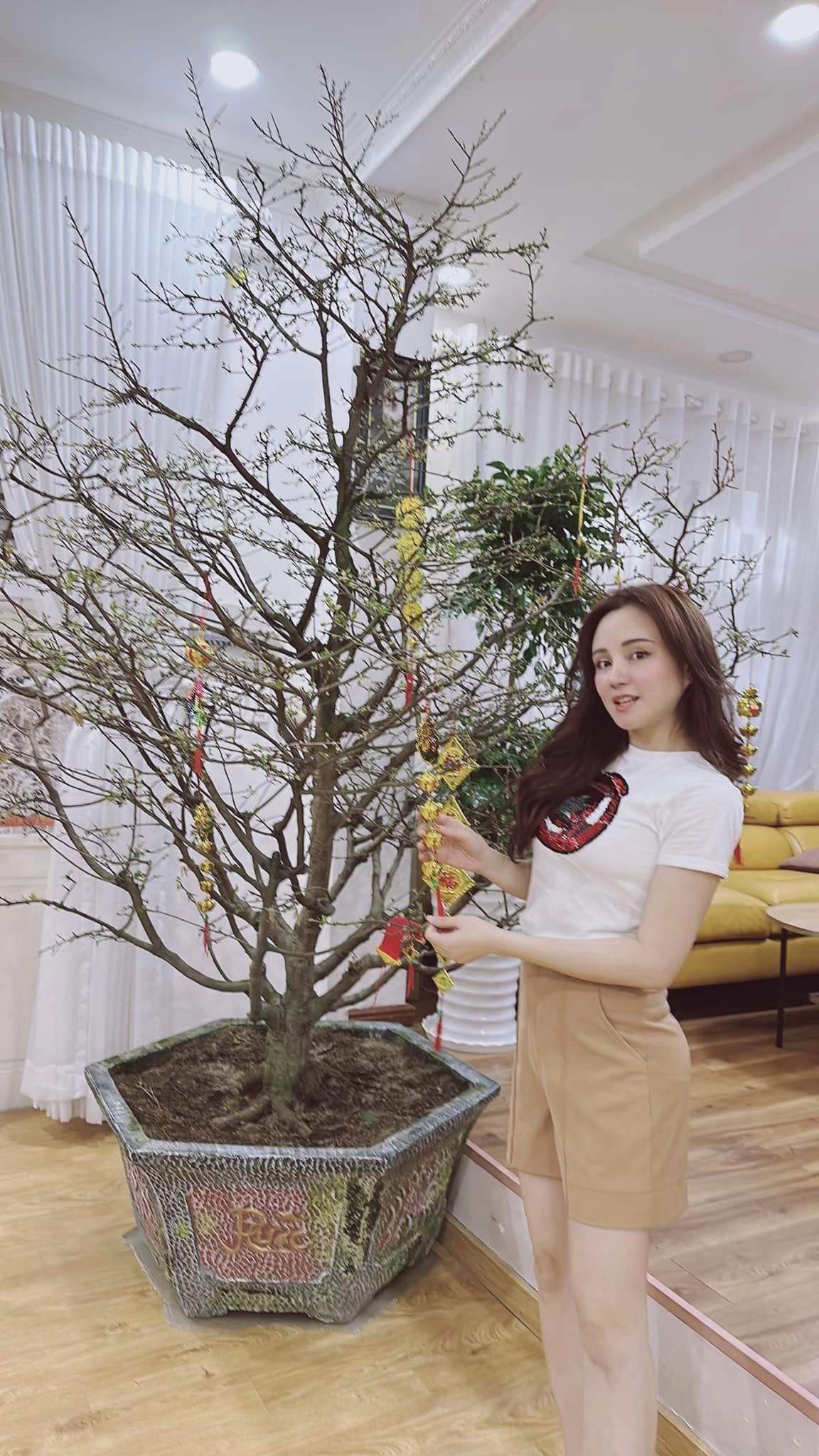Ca sĩ Vy Oanh chơi trội, sắm 2 chậu mai và đào 
