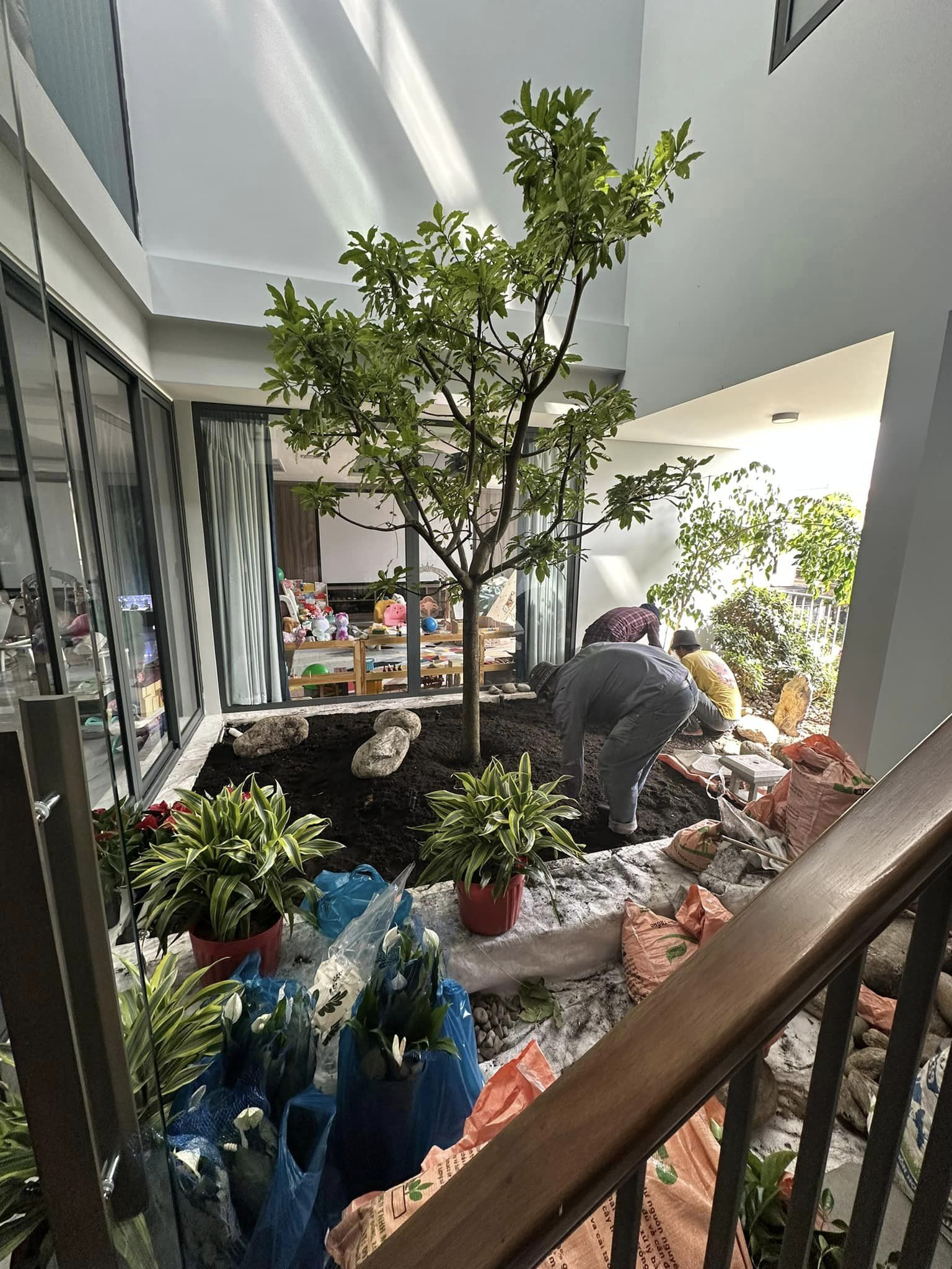 Đón Tết Quý Mão 2023, gia đình doanh nhân Quốc Cường - người mẫu Đàm Thu Trang trang hoàng sân trước thành khu vườn xuân, có nhiều góc chụp ảnh. Quá trình thực hiện tốn kém với nhiều công nhân, phải thuê cần cẩu.