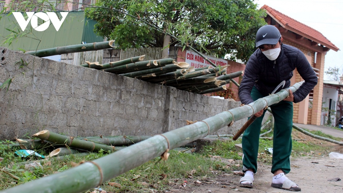 Cây tre được rọc mắt cẩn thận trước khi trồng thành cây nêu.