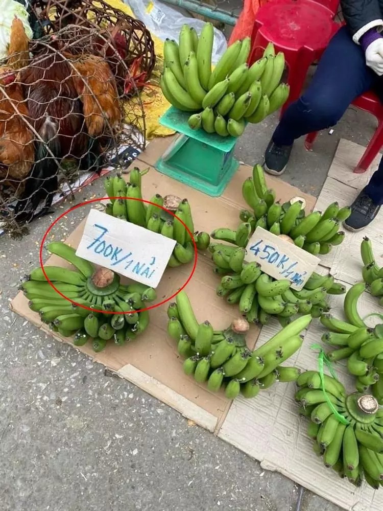 Nải chuối rẻ nhất cũng có giá 450k
