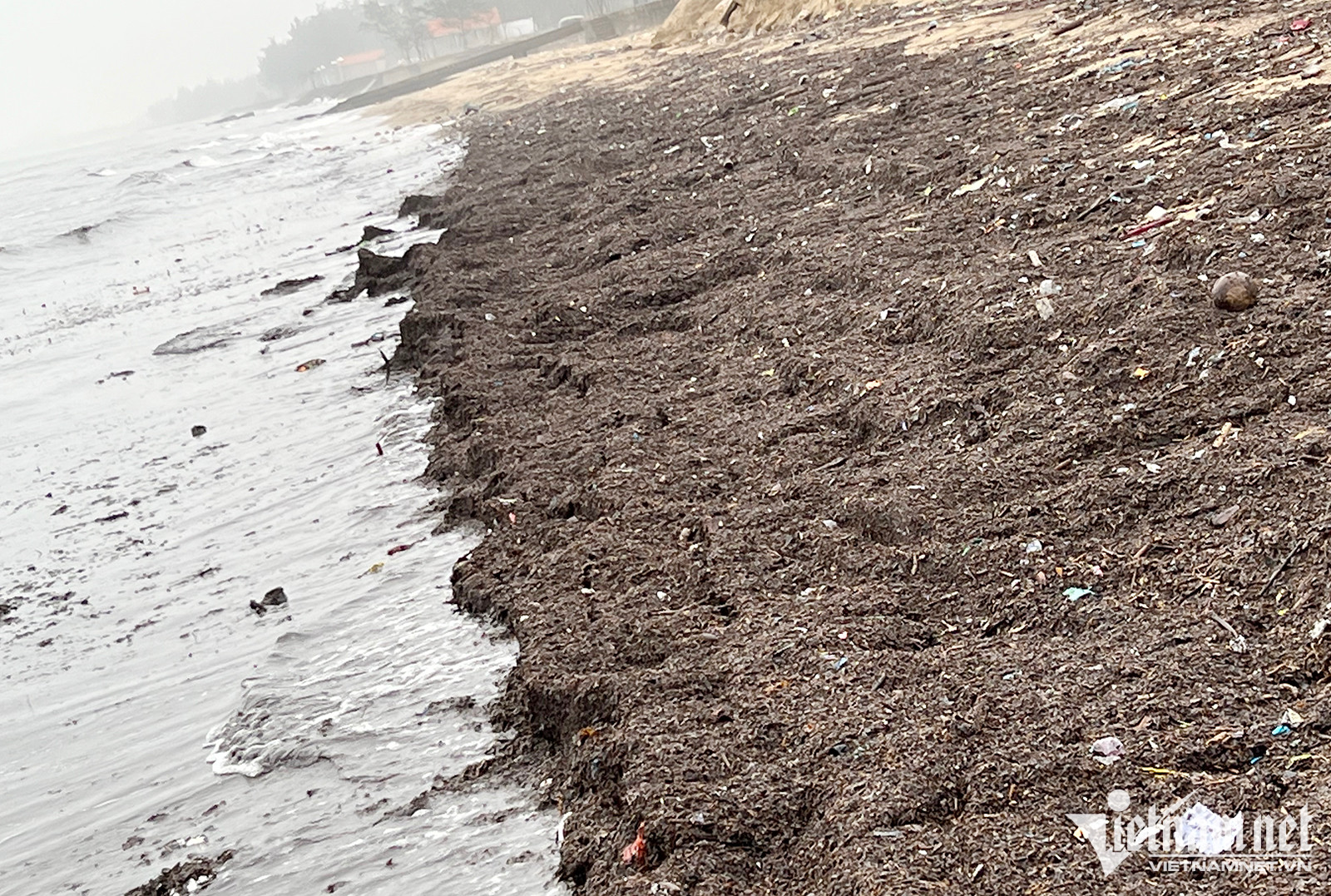 Có những chỗ rác dạt vào chất đống cao hơn 20cm