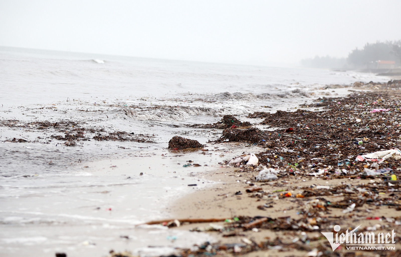 Sóng đánh rác dạt vào bờ biển kéo dài hàng trăm mét - Ảnh: Quốc Huy
