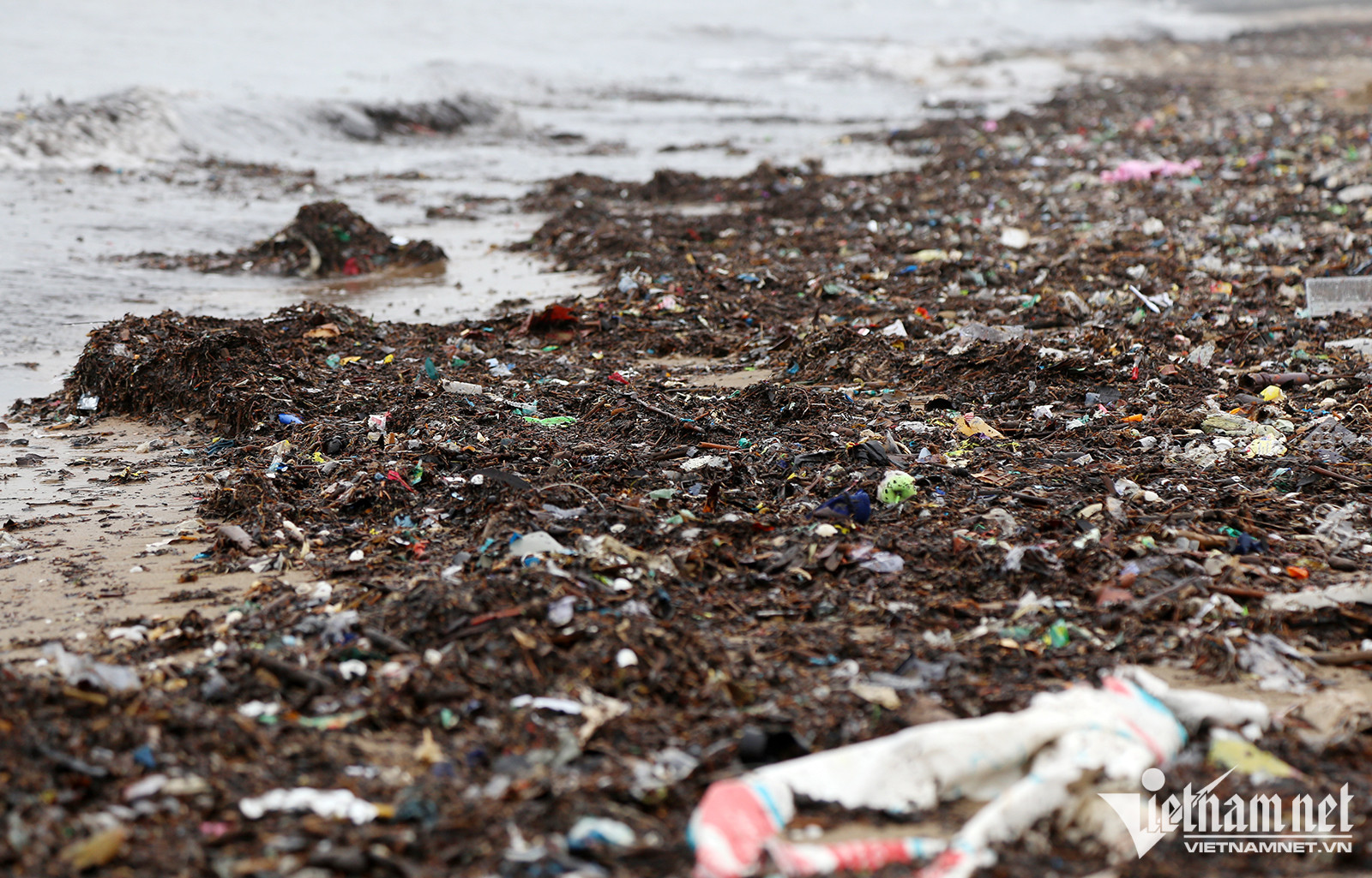 Rác vây kín bờ biển Cửa Lò sáng 10/2 - Ảnh: Quốc Huy