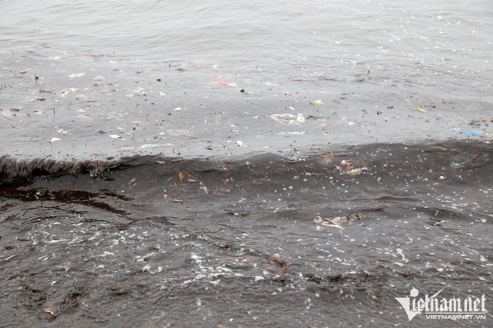 Màu đục đen lẫn trong nước biển