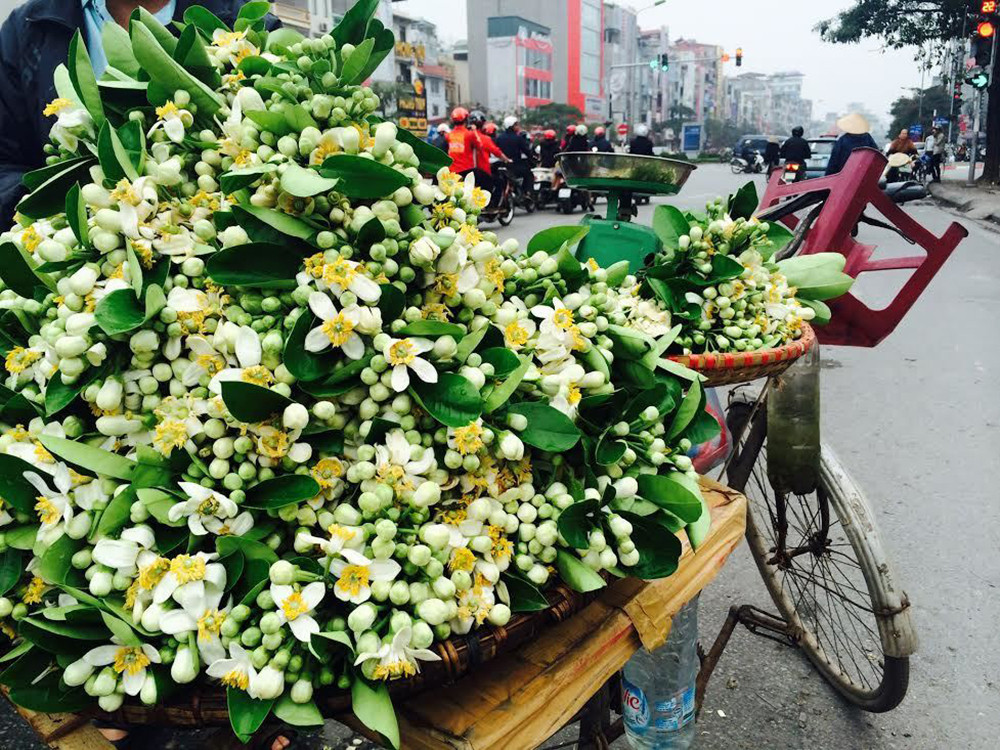 Những xe hoa bưởi bán rong đang xuất hiện khắp đường phố Hà Nội (Ảnh: Tâm An)