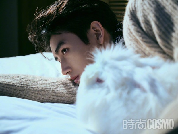 Có thông tin cho biết cô gái vướng tin tình ái với Trần Phi Vũ họ Hồ, là người Thành Đô, làm nghề trang điểm. Cô này là người đứng đầu fansite của nam diễn viên từ năm 2017, thời điểm anh đóng Bí Quả, thường hay theo chân anh trong các sự kiện, hoạt động, phim trường. FC chính thức của Trần Phi Vũ từng đăng video phỏng vấn cô gái này