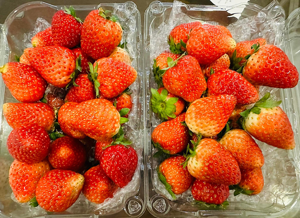 Dâu tây Sơn La đang là loại quả đắt hàng tại Hà Nội (Ảnh: Tâm An)