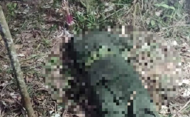 Thi thể anh M được phát hiện trên một ngọn đồi cách đơn vị 2km (Ảnh: Gia đình cung cấp).