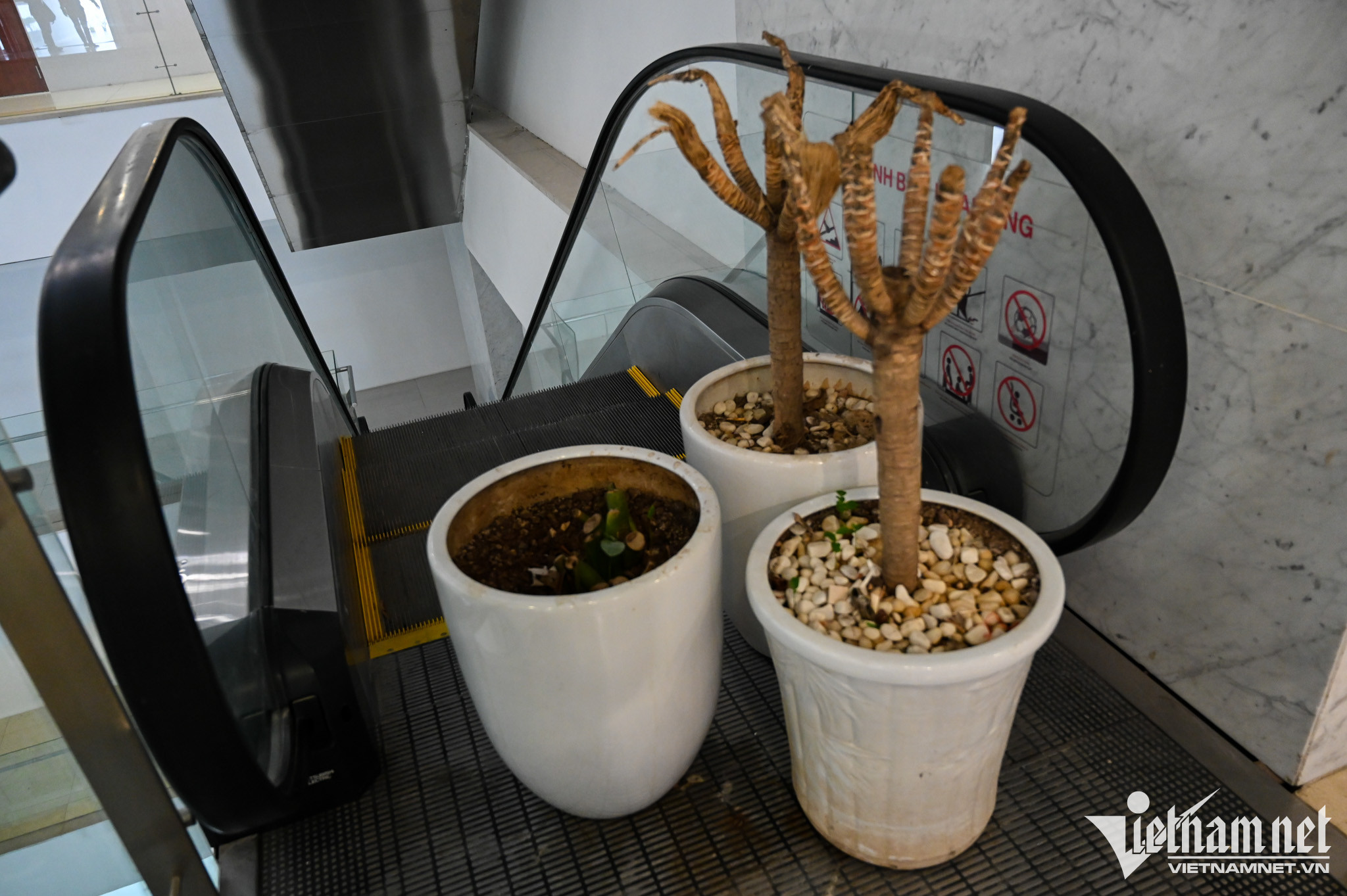 Hệ thống thang cuốn dừng hoạt động hoàn toàn. Các chậu cây được đặt ngay trước lối xuống để ngăn người đi qua.