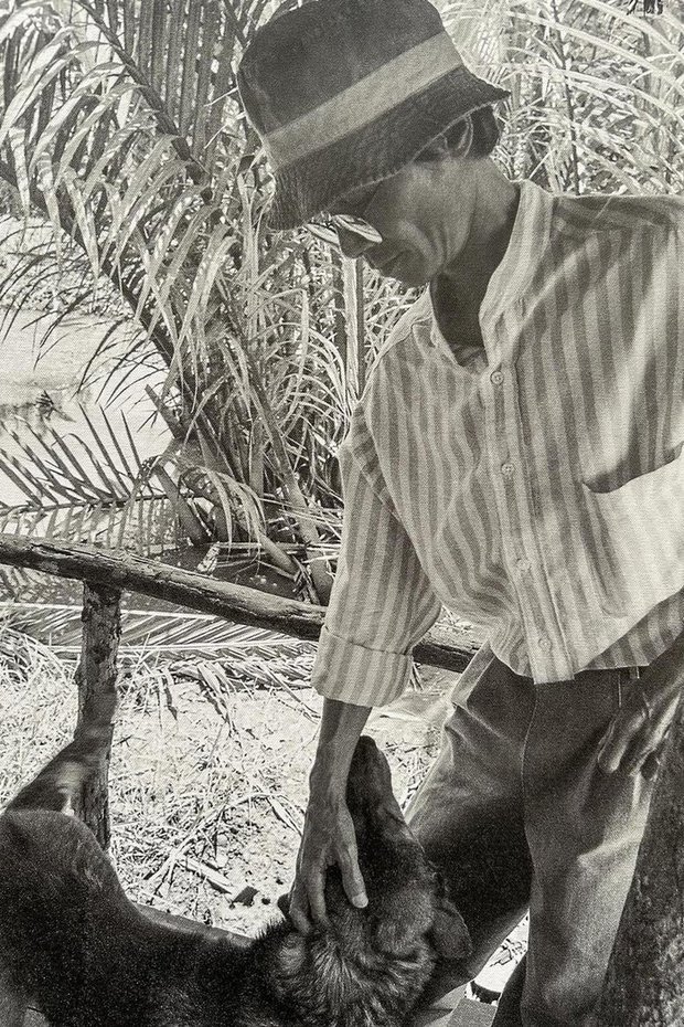 Cố nhạc sĩ nhìn thú cưng của mình bằng ánh mắt đầy trìu mến