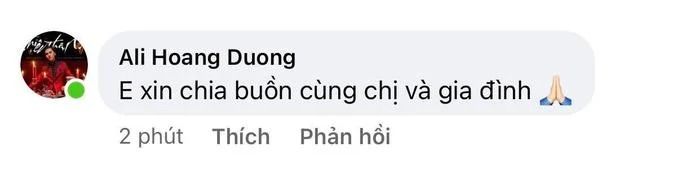 Nhiều nghệ sĩ Việt gửi lời chia buồn bên dưới bài đăng của ca sĩ Miu Lê.