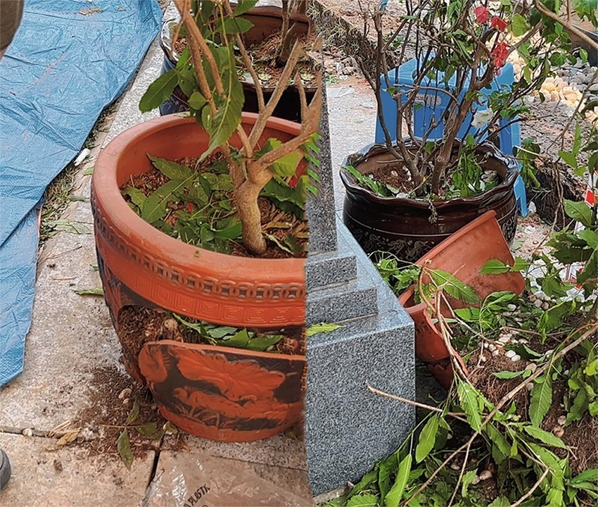 Nghệ sĩ Thanh Điền cho biết, cây cối xung quanh mộ của cố nghệ sĩ Thanh Kim Huệ bị phá vỡ