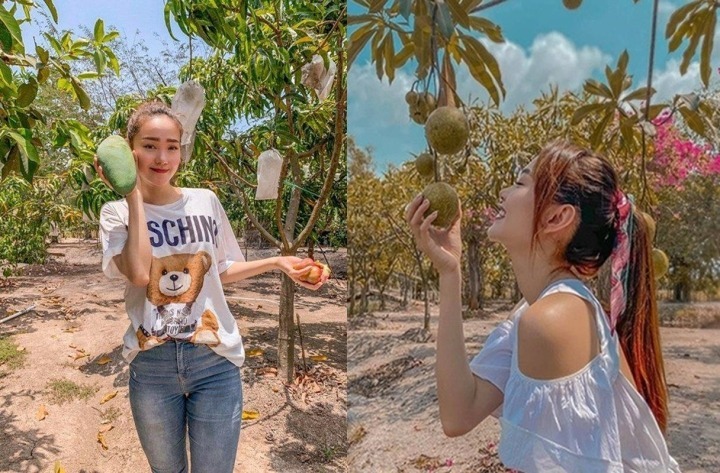 Ngoài ra, Minh Hằng còn sở hữu thêm khu nhà vườn ở Đồng Nai với diện tích hơn 2 ha để phục vụ việc giải trí, thư giãn vào cuối tuần của gia đình nữ ca sĩ.