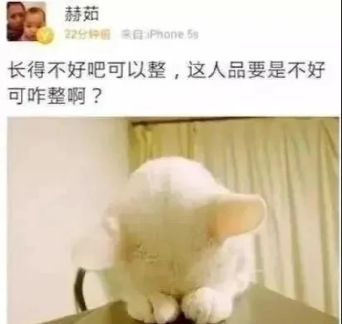 Dòng trạng thái đầy ẩn ý của quản lý Triệu Lệ Dĩnh