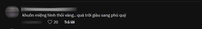 Netizen đã nhanh tay chỉ ra khuôn miệng hình thỏi vàng hiếm thấy của nhóc tỳ.