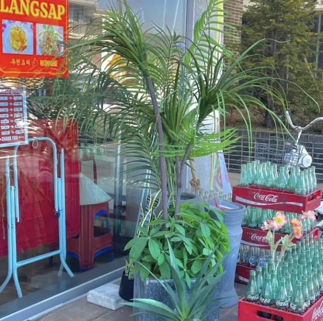 Chủ quán đăng lên bức ảnh xác nhận Hyun Bin và Park Hoon đã tới dùng bữa kèm dòng chú thích: 