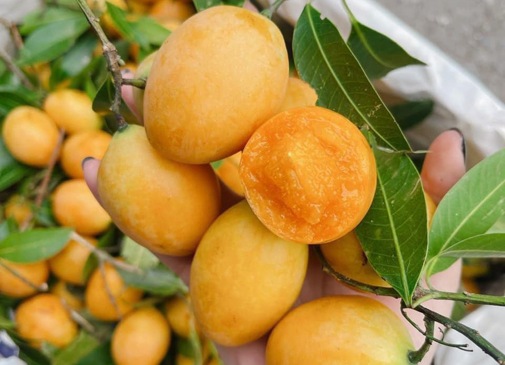 Đang từ mức giá cao chót vót, thanh trà Thái dội chợ bán giá siêu rẻ (Ảnh: NVCC)