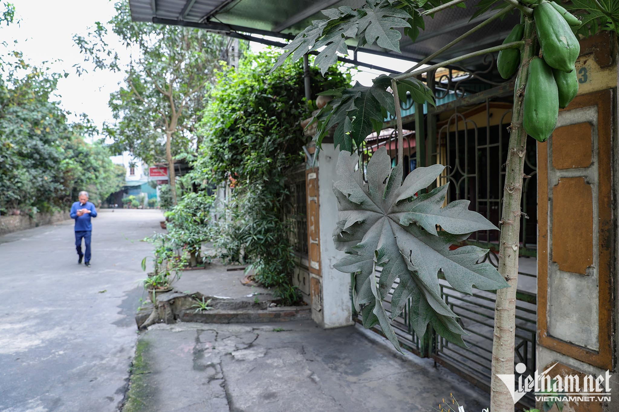 Bụi bám ở hầu hết mọi nơi tại khu phố Hồng Hà 2. Ảnh: Lê Anh Dũng 