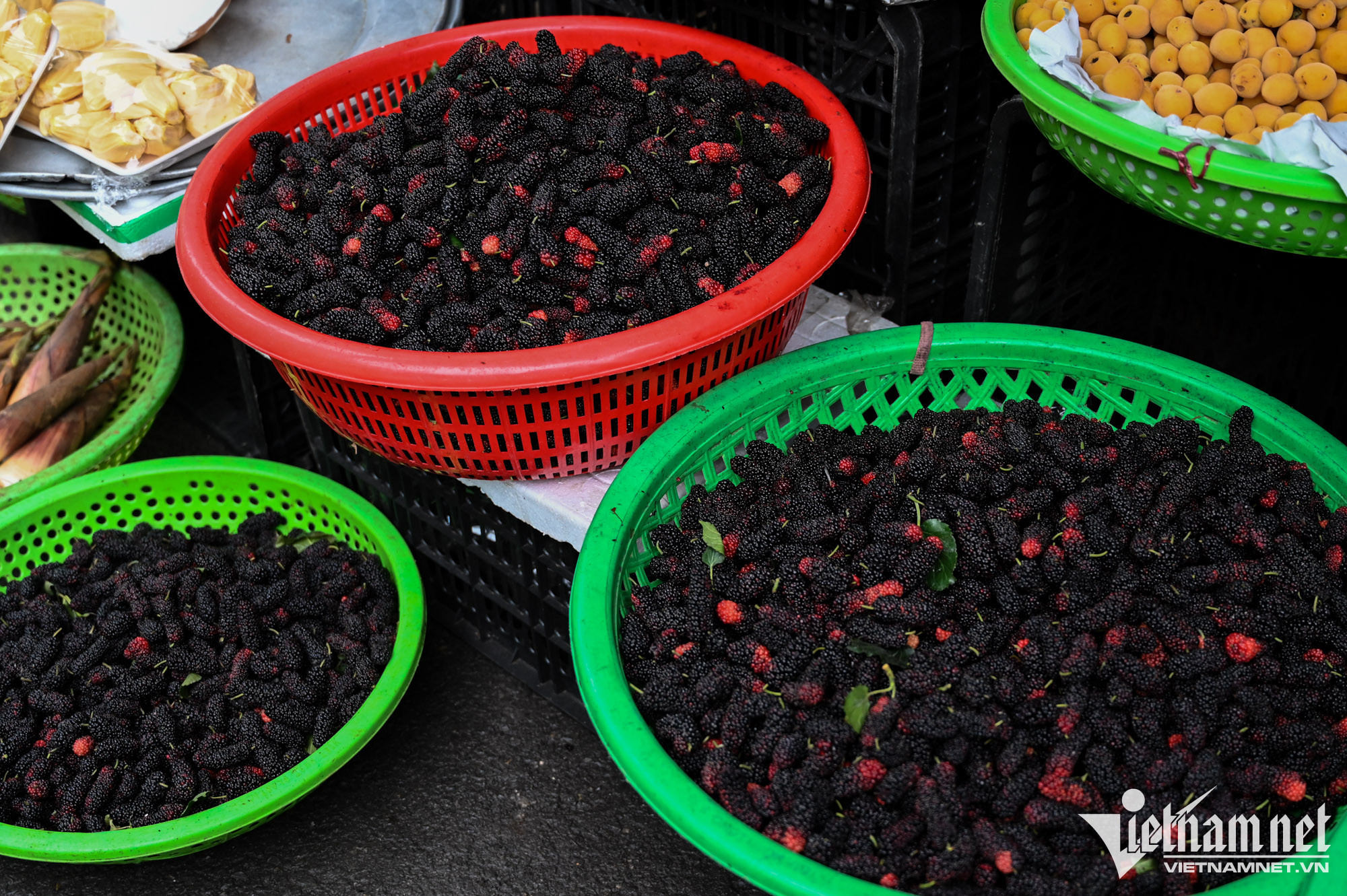 Dâu tằm được vận chuyển vào Nam để bán và xuất ra các chợ ngoài trung tâm Hà Nội. Giá dâu bán lẻ tại các chợ trên địa bàn thủ đô dao động từ 30.000-50.000 đồng/kg.