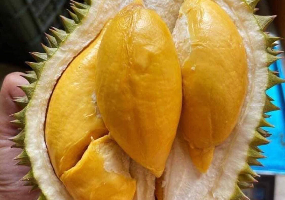 Sầu riêng Thái Lan được rao bán tràn ngập chợ Việt (Ảnh: NVCC)