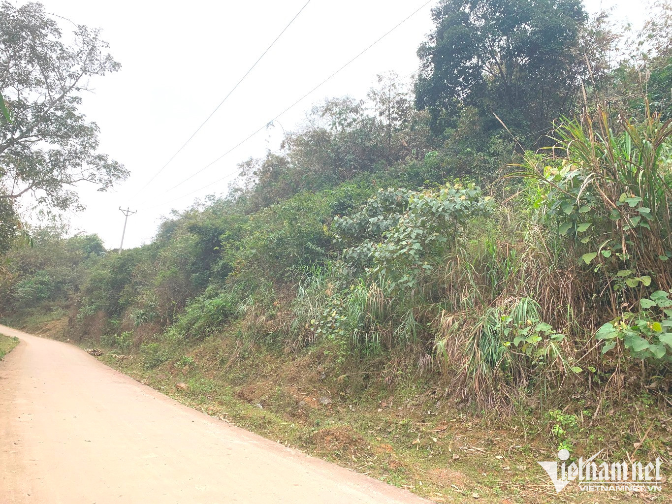 Đất rừng sản xuất tại Kim Bôi (Hòa Bình) đang được chào bán giá chỉ vài chục nghìn một mét vuông. Ảnh: Nhóm PV