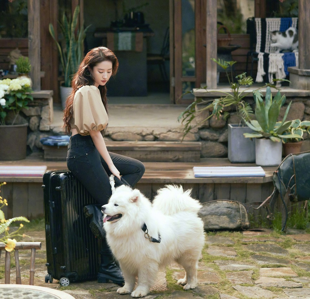 Lưu Diệc Phi từng vướng tin đồn tình cảm với Dương Dương, nhiếp ảnh gia Lưu Kiện An và người đồng giới Tăng Dật Khả. Trước những tin đồn bủa vây, nữ diễn viên giữ thái độ im lặng. Song Seung Hun là mối tình duy nhất Lưu Diệc Phi công khai. 