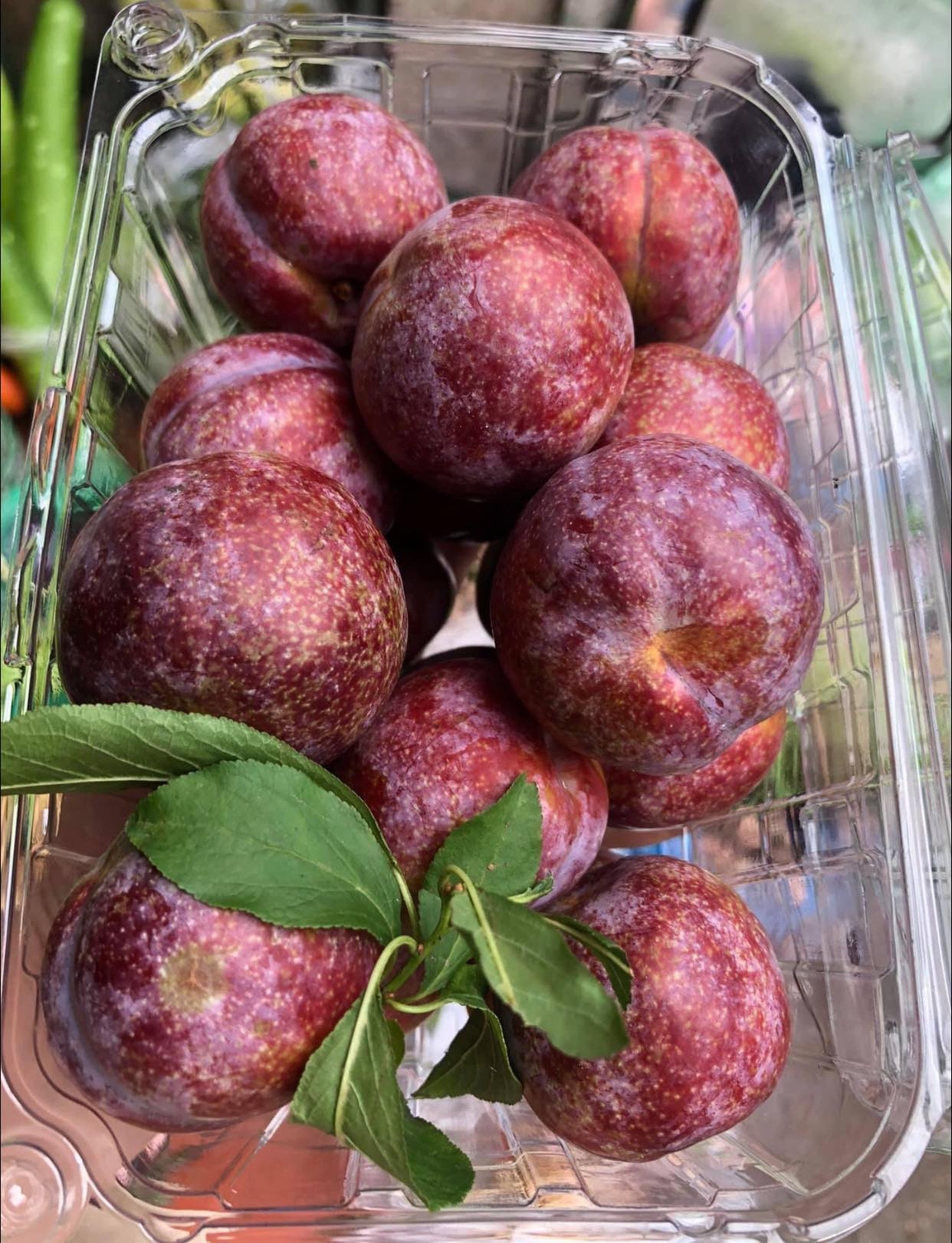 1kg mận hậu Vip thường được 20-25 quả (Ảnh: Thuý Hoà)