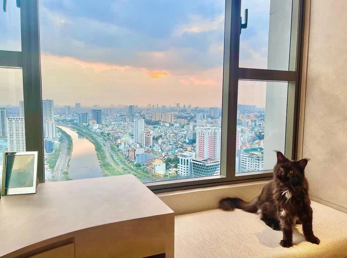 Vợ chồng Trấn Thành sở hữu căn hộ giá trị khoảng 20 tỷ ở Quận 1, TP.HCM