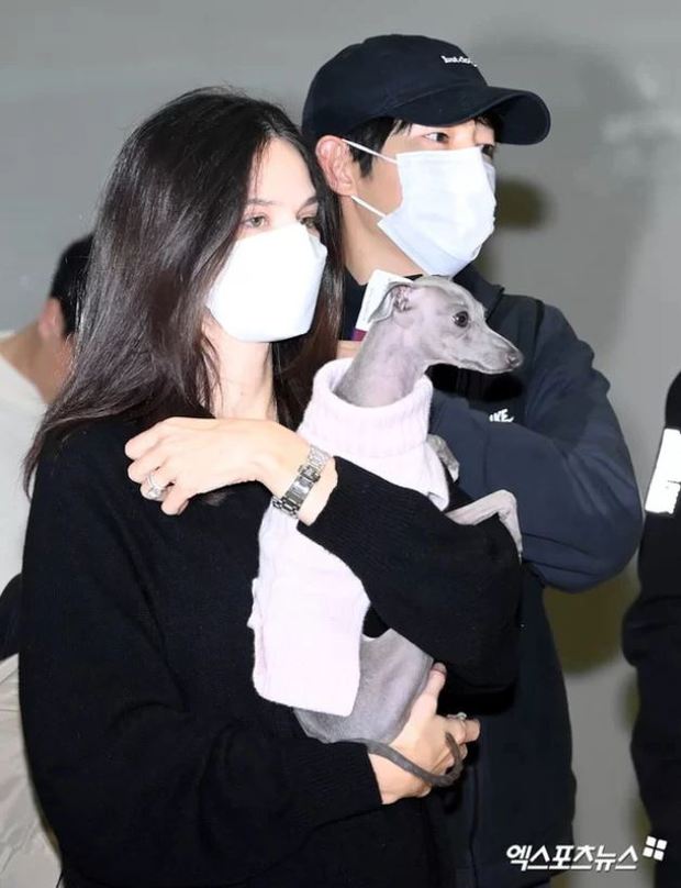 Cách đây 2 tháng, Song Joong Ki cùng Katy Louise Saunders có mặt tại sân bay Incheon để đón chuyến bay sang Hungary và Nala trở thành 