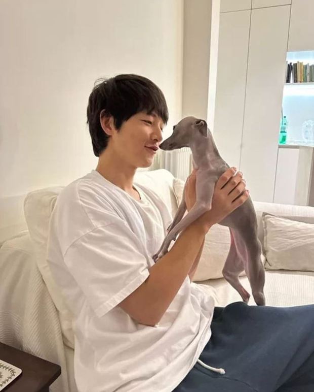Dù chỉ là một bức ảnh đơn giản nhưng từ biểu cảm trên gương mặt Song Joong Ki, có thể thấy nam diễn viên đang trải qua những tháng ngày thư thái và hạnh phúc