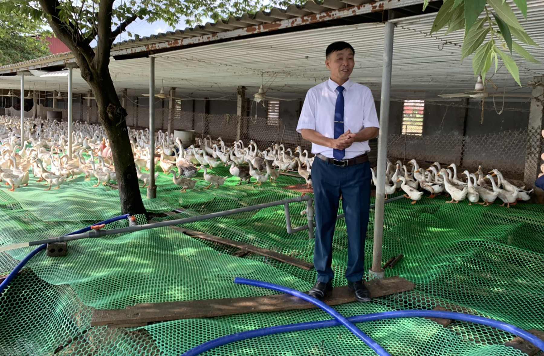 Ông chăn nuôi an toàn sinh học nên chuồng trại luôn sạch sẽ, đảm bảo an toàn thực phẩm (Ảnh: Khánh Nguyên)