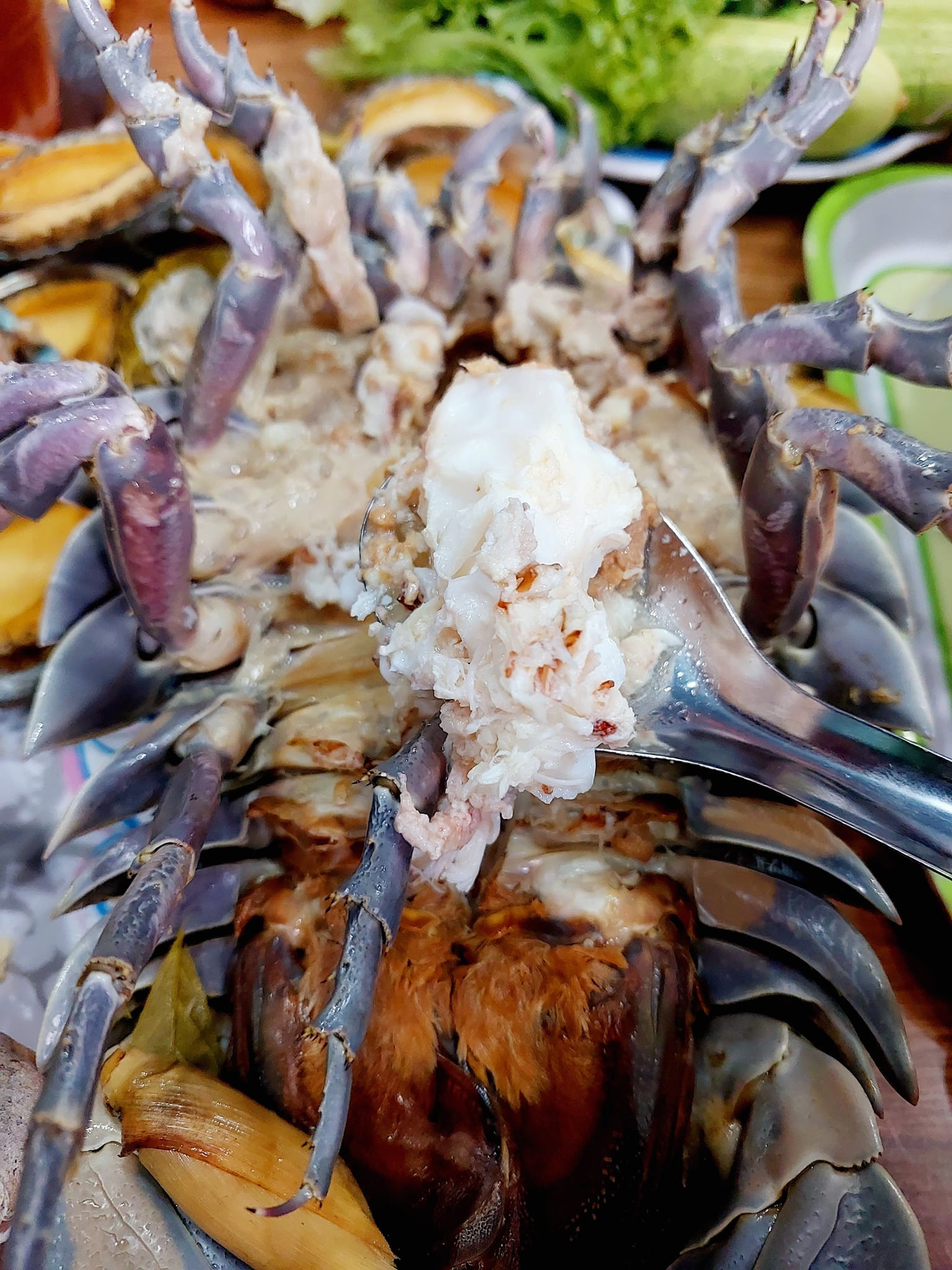 Hương vị của bọ biển được giới sành ăn Việt nhận xét ngon hơn cả tôm hùm, cua hoàng đế (Ảnh: Ngọc Nhi Quách).