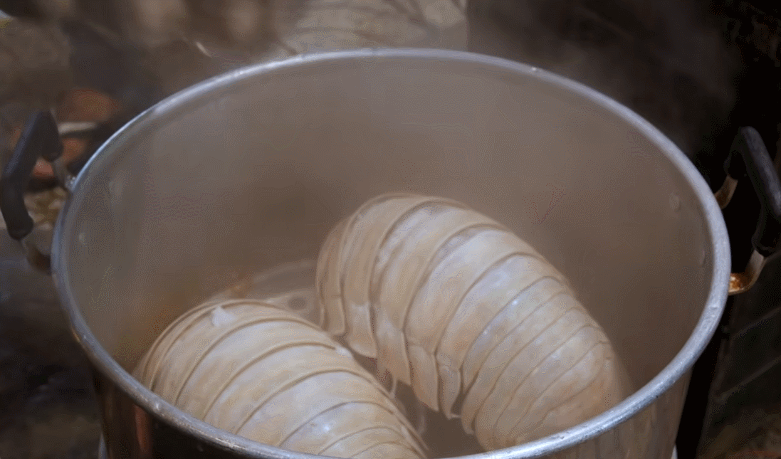 Bọ biển có phần thịt màu trắng đục, tập trung chủ yếu dưới lớp mai với vị béo ngậy, ngọt thơm và đậm đà đặc trưng (Nguồn: Best Ever Food).