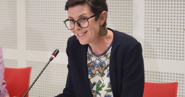 Bà Angela Pratt, Trưởng đại diện WHO tại Việt Nam