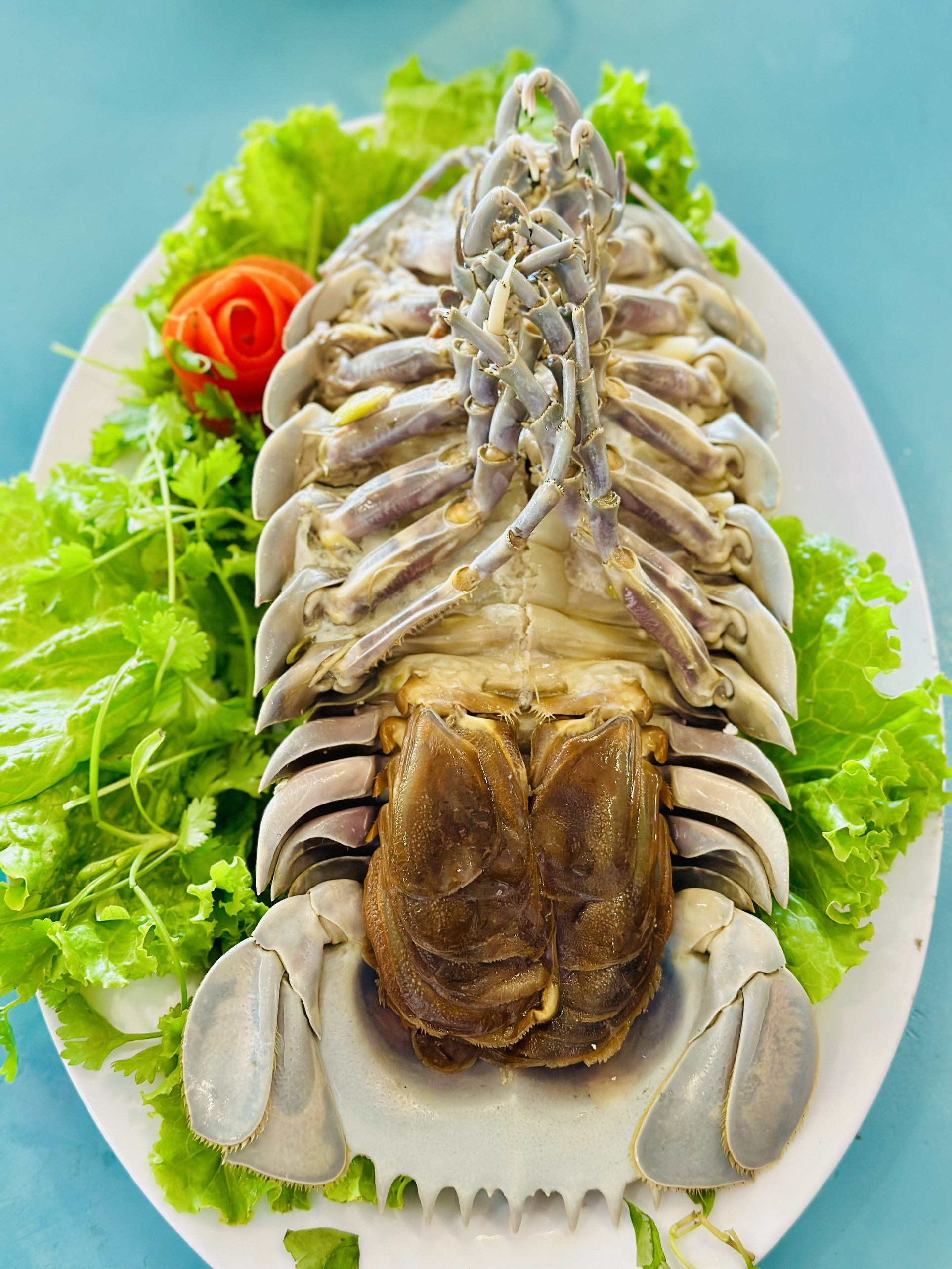 Mặc dù là loại đặc sản quý hiếm, đắt đỏ song vẻ bề ngoài của bọ biển khiến nhiều thực khách rùng mình, dè chừng không dám thưởng thức (Ảnh: Kiều Lan Anh).