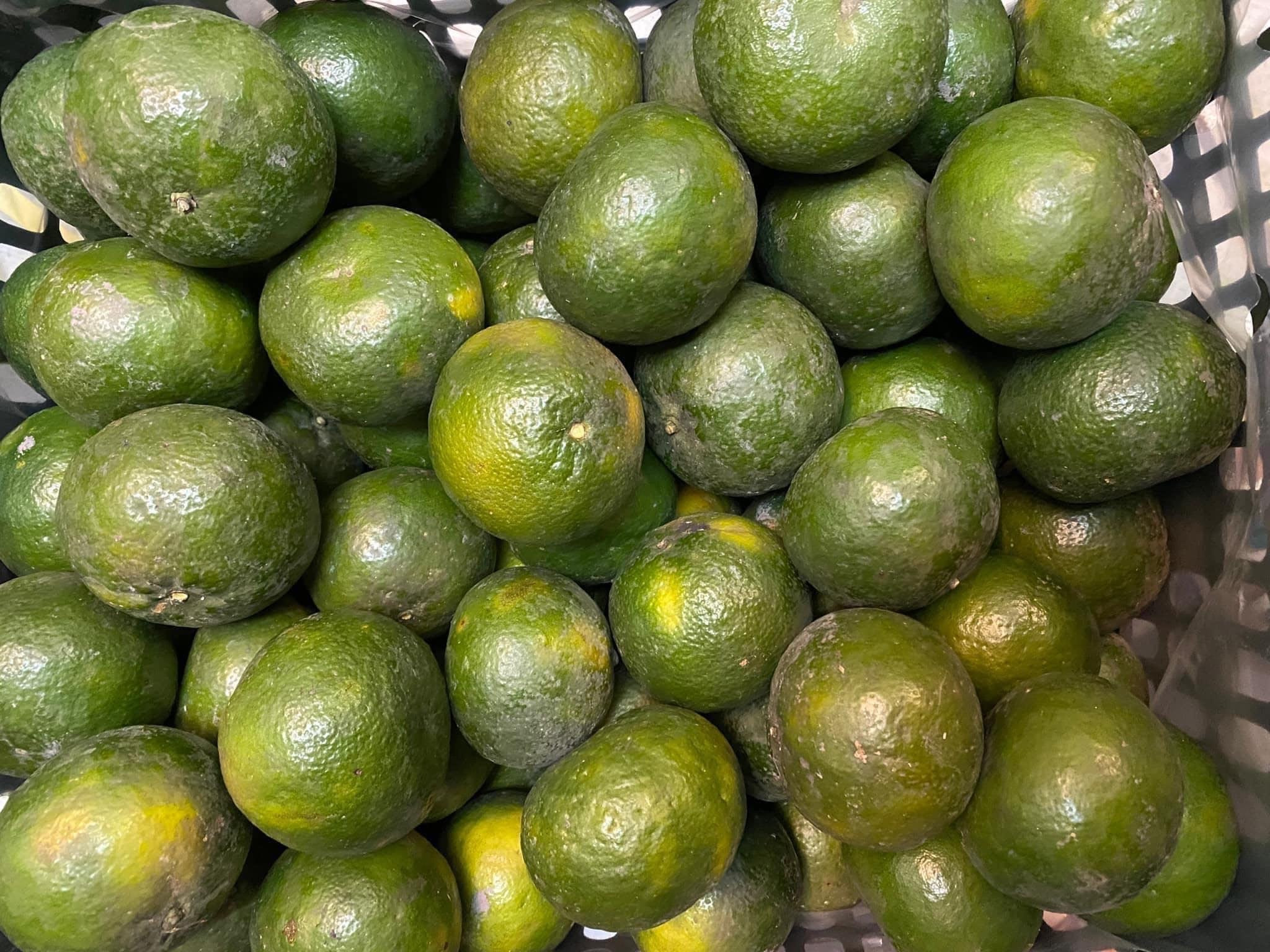 Nhiều nơi rao bán cam sành giá chỉ 11.000 đồng/kg (Ảnh: NVCC)