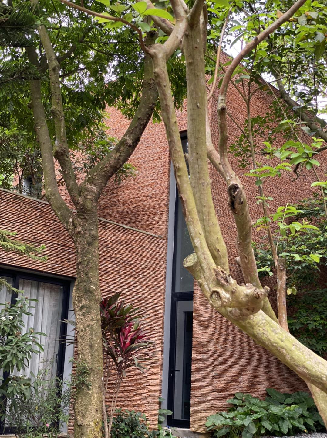 Cuộc sống yên bình của nghệ sĩ Xuân Hình sau khi về hưu.