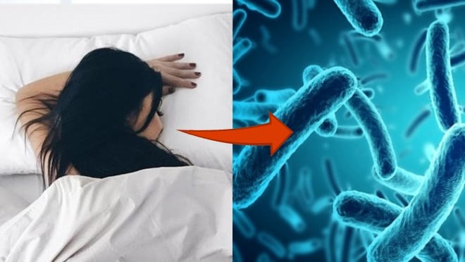 Kinh hãi: Vỏ gối không giặt 1 tuần có chứa tới 3 triệu vi khuẩn, bẩn hơn 17.000 lần so với bồn cầu - 1 Kinh hãi: Vỏ gối không giặt 1 tuần có chứa tới 3 triệu vi khuẩn, bẩn hơn 17.000 lần so với bồn cầu - 1