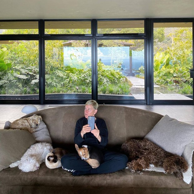 Ellen DeGeneres sống cùng vợ và thú cưng trong biệt thự 45 triệu USD. Ảnh: IG.