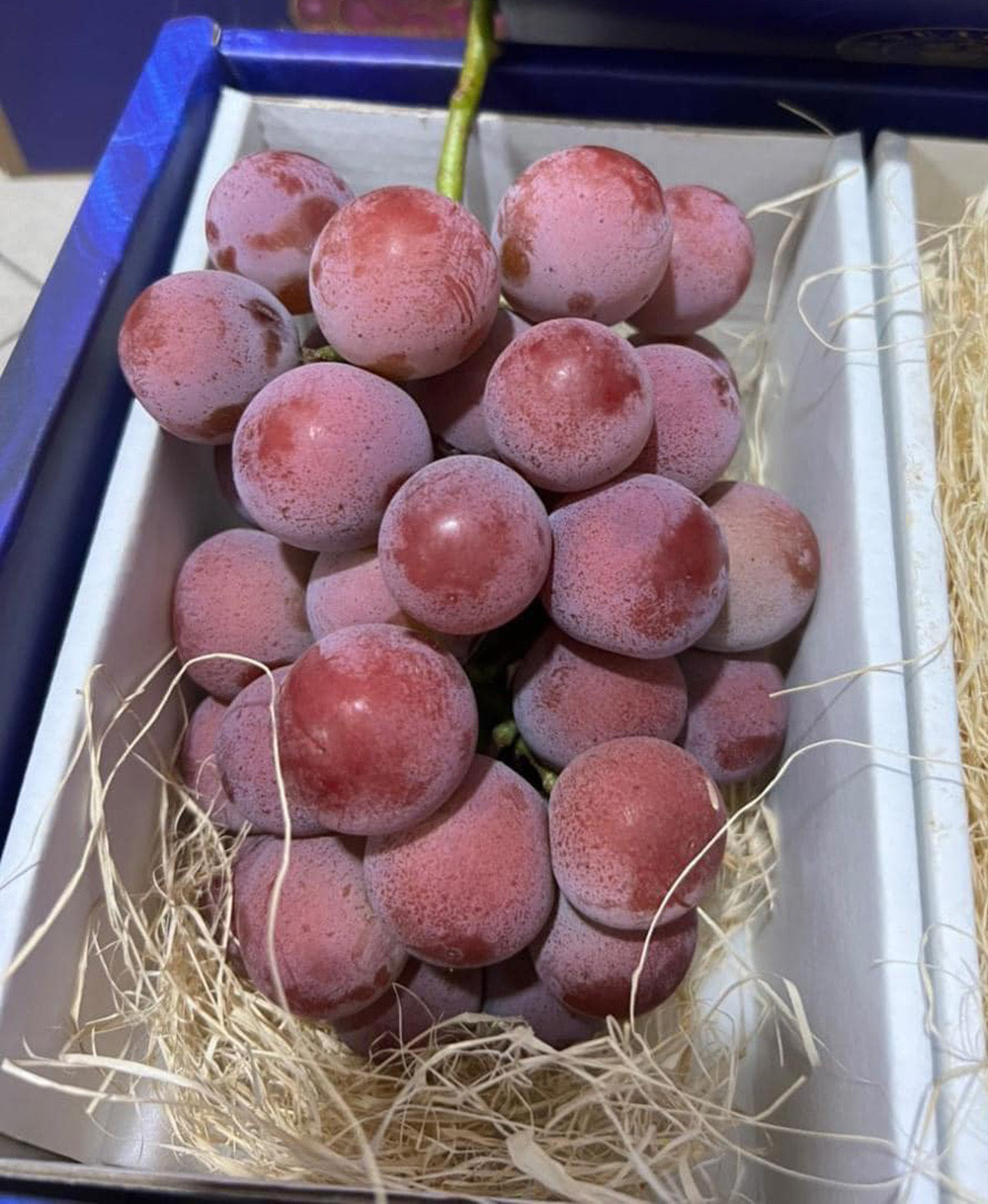 Loại nho Ruby Roman của Trung Quốc có giá siêu rẻ so với hàng Nhật Bản (Ảnh: NVCC)