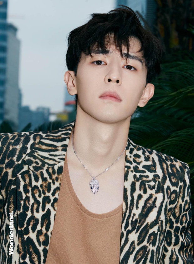 Nam tài tử Hương Mật Tựa Khói Sương đánh mất sự nghiệp nghệ thuật sau bê bối trốn thuế