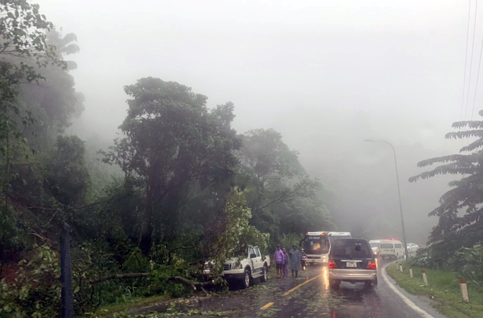 Một vài nơi khác trên con đèo huyết mạch này xuất hiện tình trạng cây xanh ngã đổ, đá lớn từ trên núi rơi xuống, không đảm bảo an toàn lưu thông.