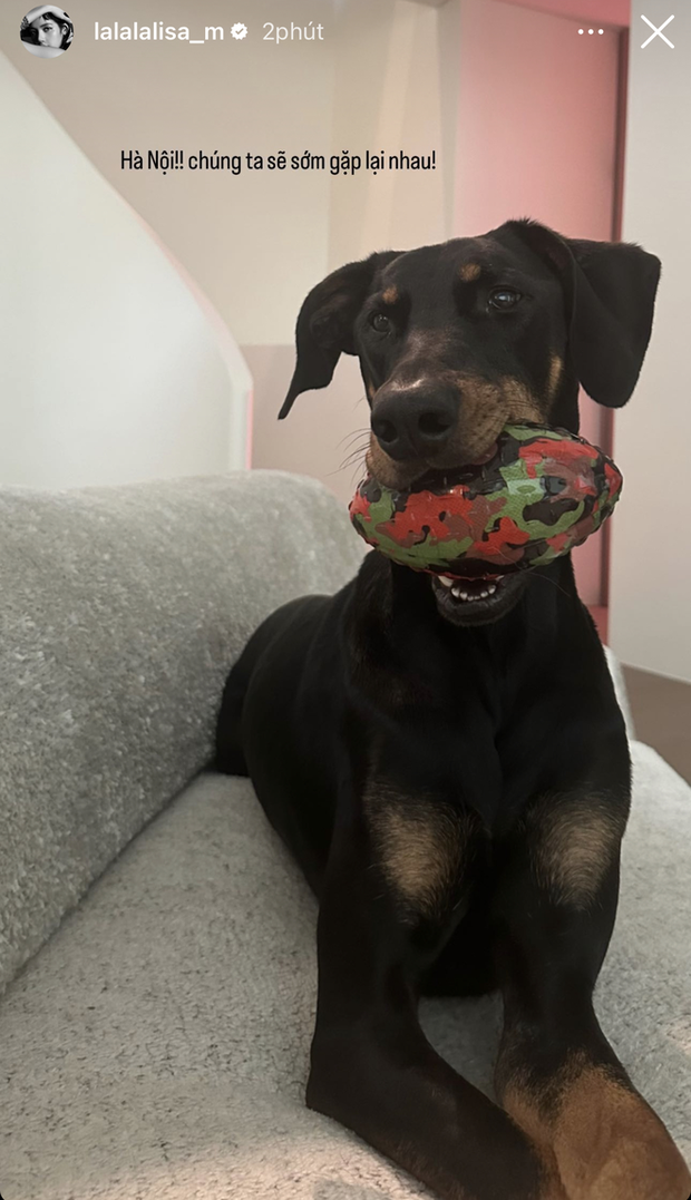 Lisa cũng có cập nhật trước giờ G đêm 2 Born Pink và gây chú ý khi viết hẳn tiếng Việt. Chuẩn bị thành dâu Việt hay gì đây Lisa?