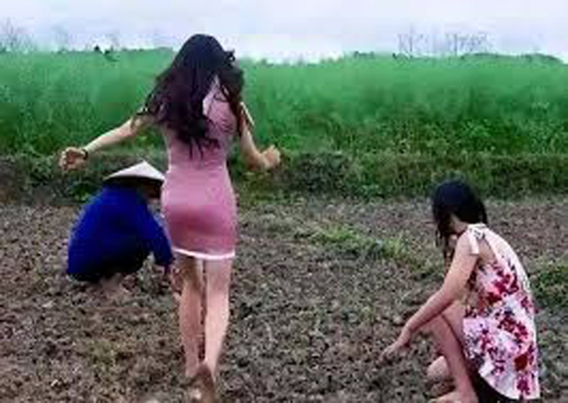 Lấy bối cảnh đồng ruộng hoặc trang trại, những cô gái mặc đồ hở hang, thiếu vải, bó sát nhằm mục đích để lộ đường cong.