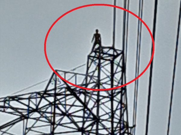 Nhậu say, leo lên đỉnh cột điện cao thế 500kV đứng...hóng mát Nhậu say, leo lên đỉnh cột điện cao thế 500kV đứng...hóng mát