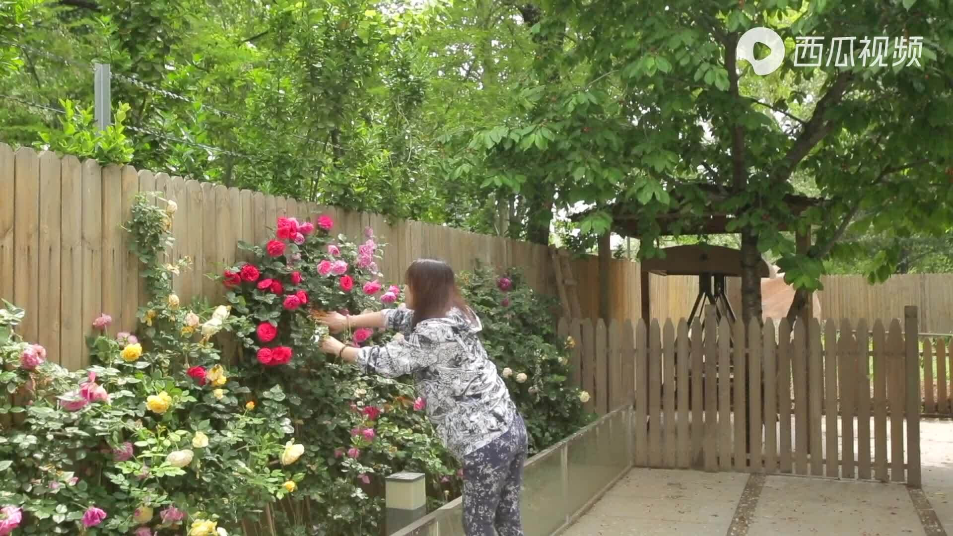 Một góc căn biệt thự khi Châu Hải My còn sống.