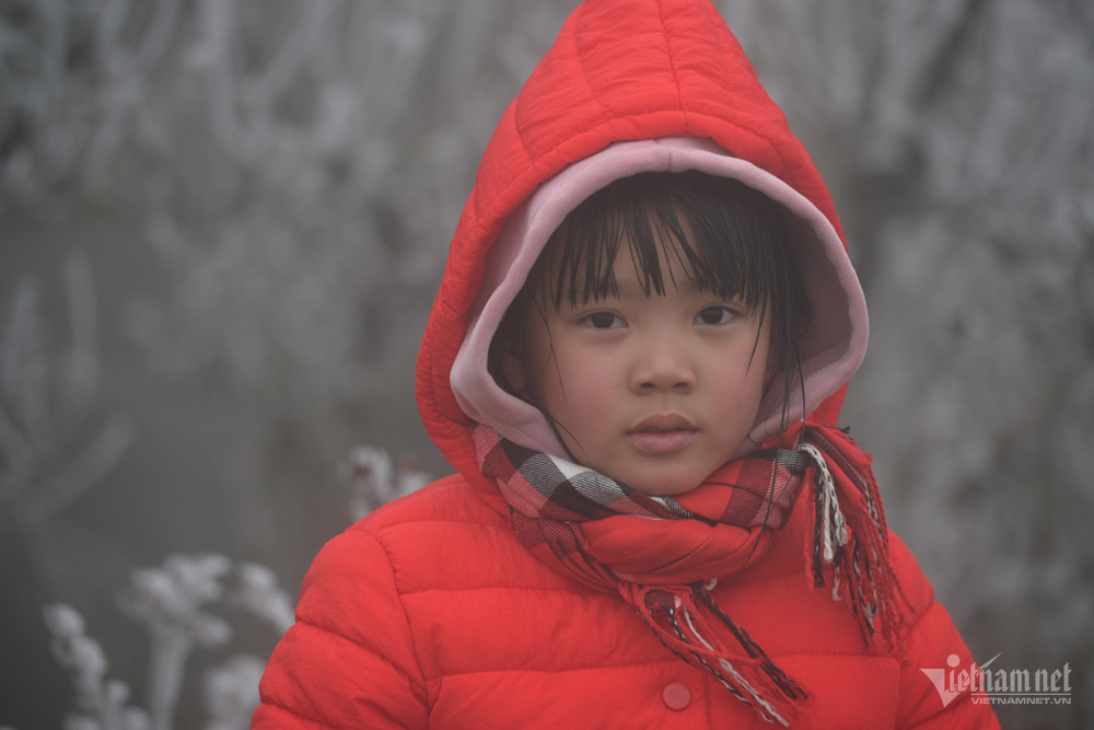 Đợt không khí lạnh mạnh khả năng xảy ra băng tuyết, mưa đá ở vùng núi cao miền Bắc. Ảnh minh họa: Nam Khánh