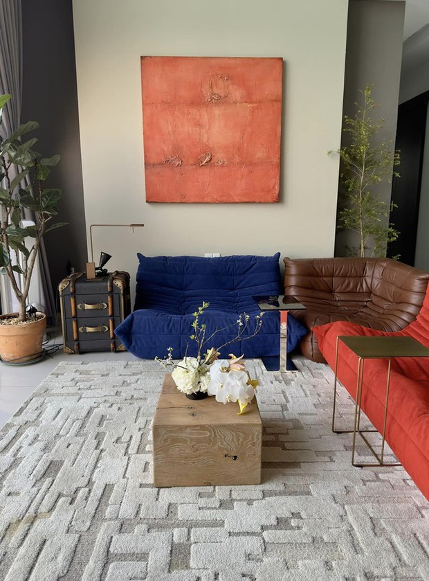 Không gian phòng khách được nữ ca sĩ chú trọng đầu tư nội thất với bộ sofa nhiều màu sắc. Ngoài ra, trong nhà diva Hồng Nhung còn treo rất nhiều tranh, album,... hệt như phòng triển lãm.