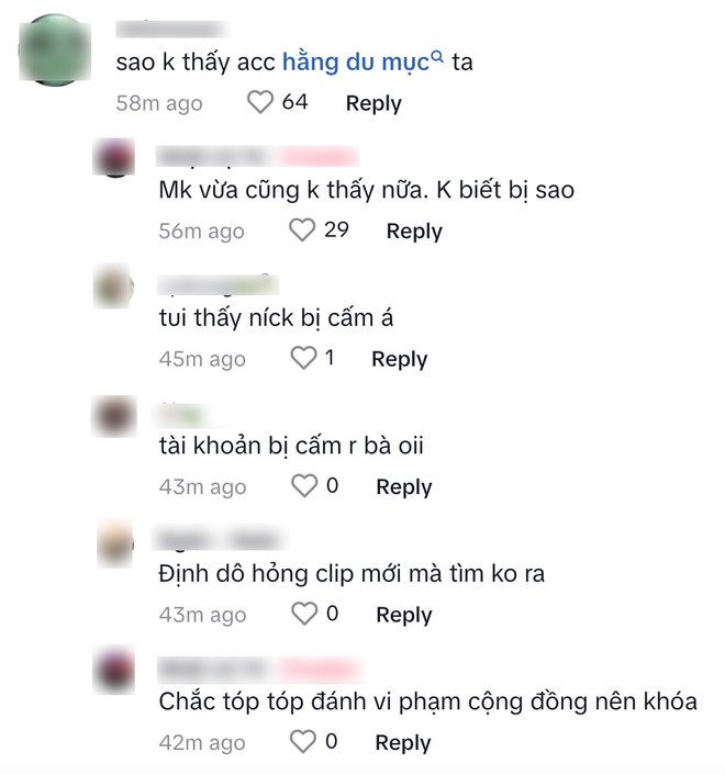 Tài khoản hơn 1,3 triệu lượt theo dõi của Hằng Du Mục bất ngờ bị cấm khiến dân mạng hoang mang (Ảnh chụp màn hình)