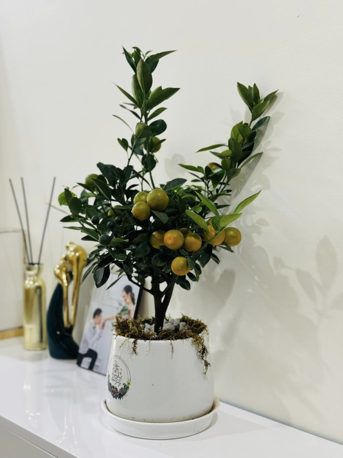 Một góc phòng khách của gia đình NSND Công Lý